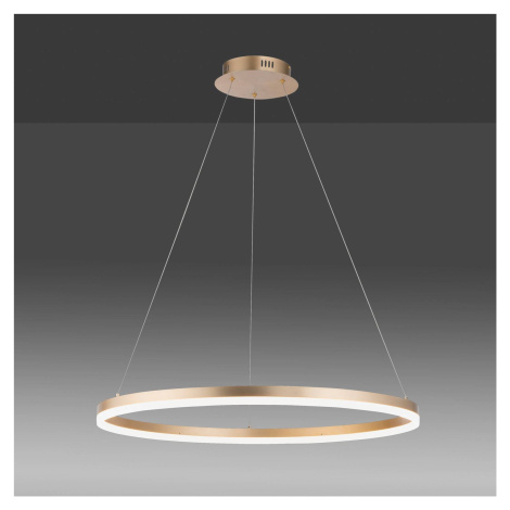 LED závesné svietidlo Titus okrúhle Ø80cm mosadzná Paul Neuhaus