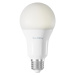 TechToy Smart Bulb RGB 11W E27