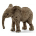 Schleich Mláďa slona afrického