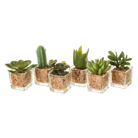 Umelé rastliny v súprave 6 ks (výška  8 cm) Cactus – Casa Selección