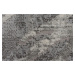 Kusový koberec Eris Arissa Silver - 200x290 cm Flair Rugs koberce