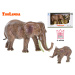 Zoolandia slonica s mláďaťom