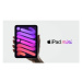 APPLE iPad mini (6. gen.) Wi-Fi + Cellular 256GB - Space Grey