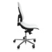 ASANA Seating Ergonomická kancelárska stolička Asana Steel Standard Farba čalúnenia: Eko koža Ze