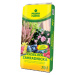 AGRO PRIMAFLORA Rašelina 70 l