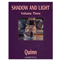 NBM Publishing Shadow and Light Volume Three