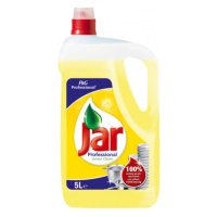 Jar Professional Lemon na riad 5l
