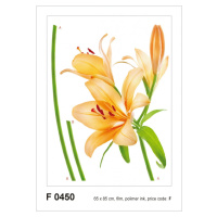 F 0450 AG Design Samolepiace dekorácie - samolepka na stenu - Lily orange, veľkosť 65 cm x 85 cm