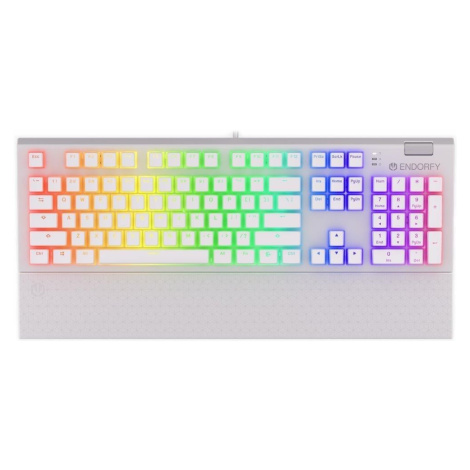 Endorfy herná klávesnica Omnis OWH Pudd.Kaihl BL RGB / USB / blue switch / drôtová /mechanická/U