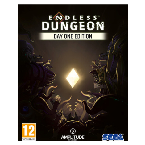 Endless Dungeon Day One Edition (PC)