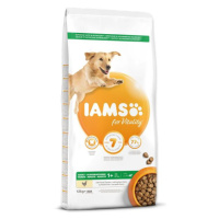 IAMS Dog Adult Large Chicken 12kg