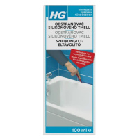 HG 290 - Odstraňovač silikónového gitu 100 ml 290