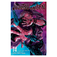 Viz Media Jujutsu Kaisen 14