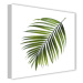 Obraz Styler Canvas Greenery Black Palm, 32 x 32 cm