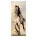 FTN V 2928 Vliesová fototapeta dverná Galloping horse, veľkosť 90 x 202 cm