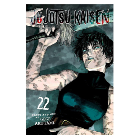 Viz Media Jujutsu Kaisen 22