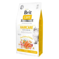 BRIT CARE cat GF  HAIRCARE healthy/shiny - 2kg