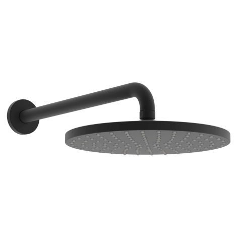 Hansa Viva - Hlavová sprcha, priemer 25 cm, matná čierna 4426020033