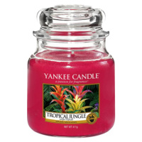 Yankee Candle, Tropická džungľa, Sviečka v sklenenej dóze 411 g