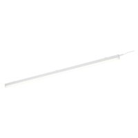 Biele LED nástenné svietidlo (dĺžka 114 cm) Ramon - Trio
