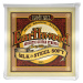 Ernie Ball 2045 Earthwood Silk & Steel Soft