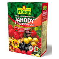 AGRO FLORIA Organominerálne hnojivo pre jahody a ovocie 2,5 kg