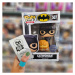 Funko POP! DC Comics: Catwoman with Pumpkin Special Edition