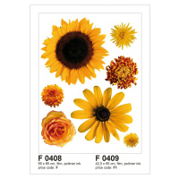 F 0408 AG Design Samolepiace dekorácie - samolepka na stenu - Sunflower big, veľkosť 65 cm x 85 