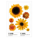 F 0408 AG Design Samolepiace dekorácie - samolepka na stenu - Sunflower big, veľkosť 65 cm x 85 