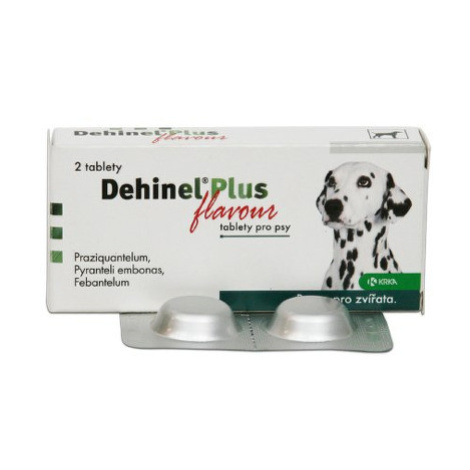 DEHINEL Plus flavour 2 tablety