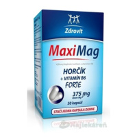 Zdrovit MaxiMag HORČÍK FORTE (375 mg) + VITAMÍN B6 50 kapsúl