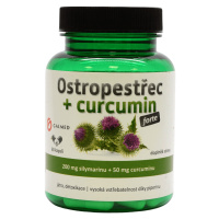 GALMED Pestrec forte + curcumin 60 kapsúl