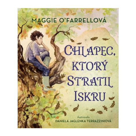 Chlapec, ktorý stratil iskru - Maggie O´Farrell, Daniela Jaglenka Terrazzini