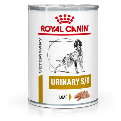 Krmivá pre psov Royal Canin