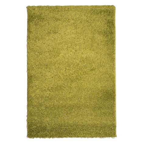 Kusový koberec Efor Shaggy 1903 Green - 160x230 cm Mono Carpet