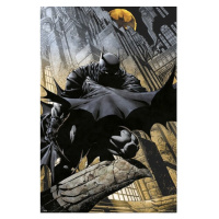 Plagát DC Comics - Batman (135)