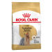 Royal Canin BHN YORKSHIRE ADULT granule pre dospelých Yorkshirských teriérov 500g