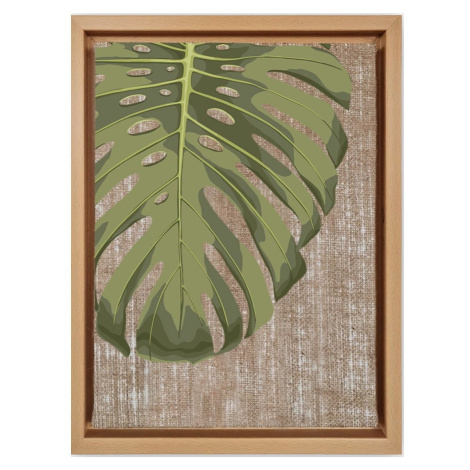 Obraz 36x46 cm Monstera – Wallity