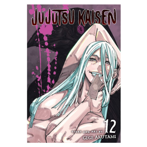 Viz Media Jujutsu Kaisen 12