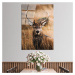 Sklenený obraz 70x100 cm Deer - Wallity