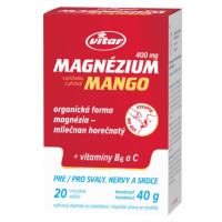 VITAR Magnézium 400 mg + vitamíny B6 a C 20 vrecúšok