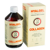 Silvita Hyalgel COLLAGEN 500 ml