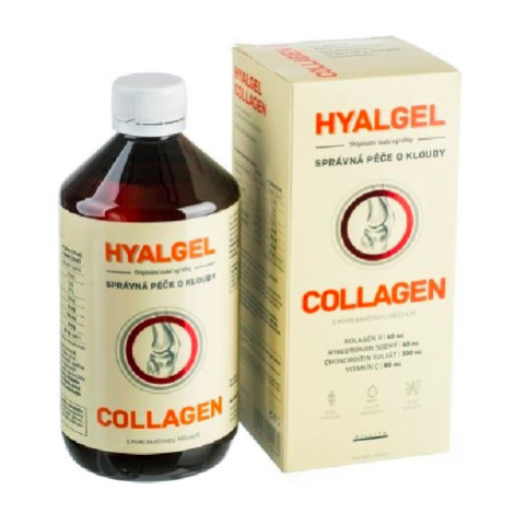 Silvita Hyalgel COLLAGEN 500 ml