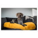 Žltý pelech pre psa 100x70 cm – Madison