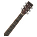 Tanglewood TWX 5 CE K