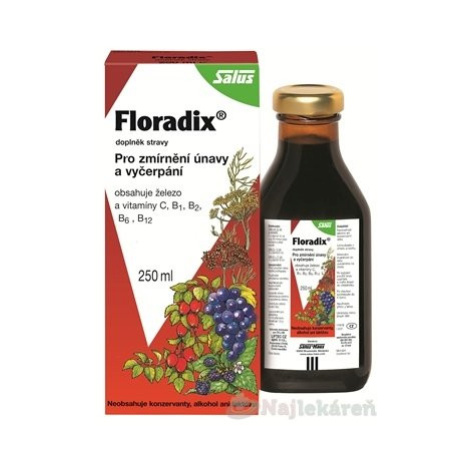 SALUS Floradix bylinný sirup, 250 ml