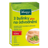 KNEIPP 3 bylinky na odvodnenie 60 tvrdých kapsúl