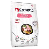 ONTARIO cat   KITTEN - 2 kg