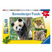 Ravensburger Panda, tiger a lev 3x49 dielikov