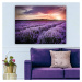 Obraz 100x70 cm Lavender Field – Wallity